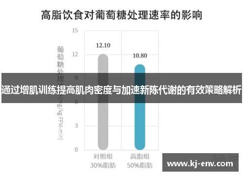 通过增肌训练提高肌肉密度与加速新陈代谢的有效策略解析
