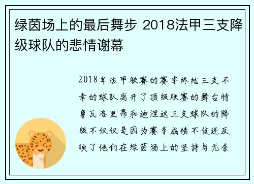 绿茵场上的最后舞步 2018法甲三支降级球队的悲情谢幕